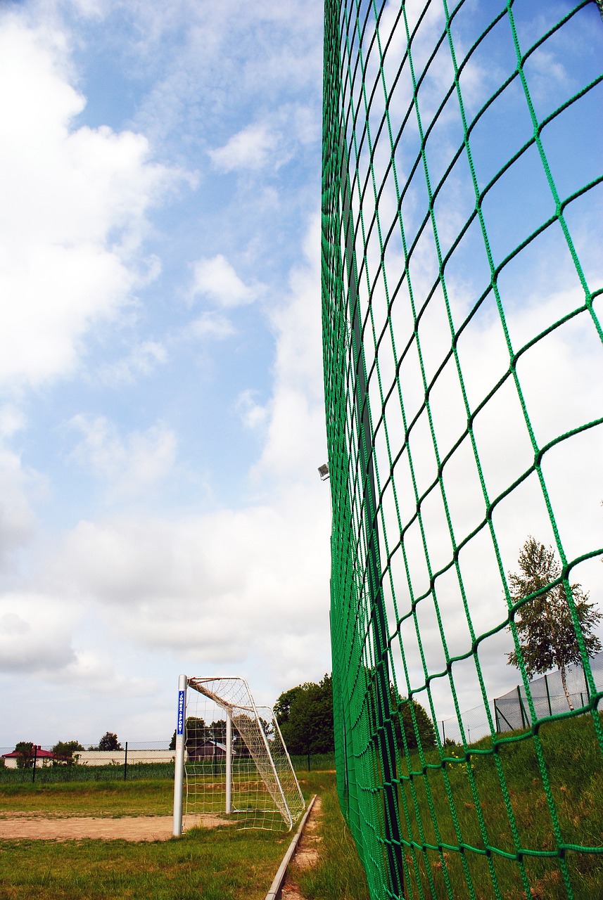 题的探究与 题的探究与