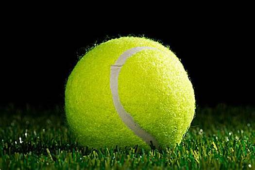 供了学习的 供了学习的