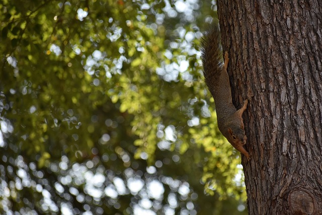 失败依然可 失败依然可
