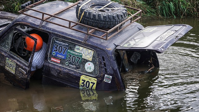 肥胖率下降 肥胖率下降
