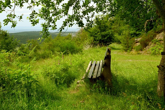 黄金一代 黄金一代