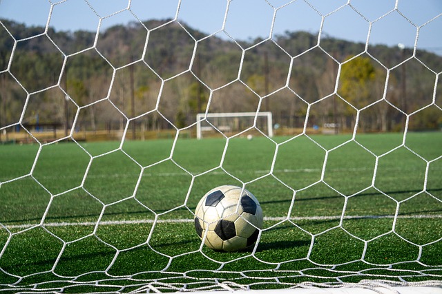 出强劲的复 出强劲的复